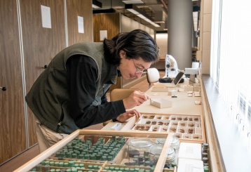 Brandon Woo examines bug specimens