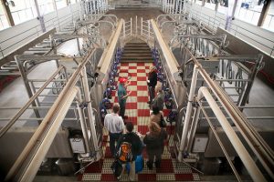 The Cornell Teaching Dairy Barn