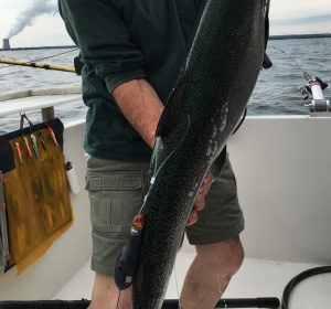 Man holds salmon