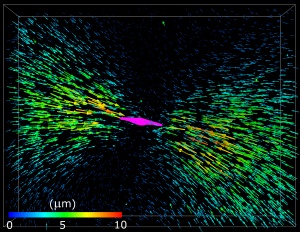 Visual graph of a nonlinear elastic model