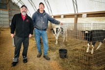 2 men standing near cow