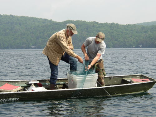 Two men hauling fishing lines from a boat