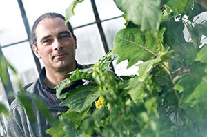 A man stands by some plants in a greenhouse