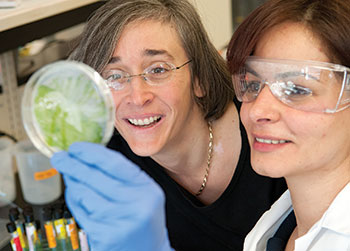 Two women look at a petri dish while wearing safety equipment in a laboratory