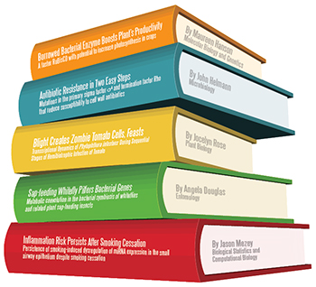 Graphic of five books stacked on top of each other