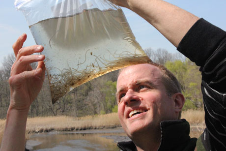 A man holds up a plastic bag filled with water and containing many little eels