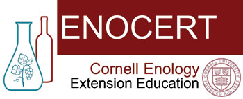 Enocert logo