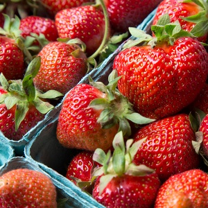 Strawberries in cartons