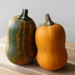 Two squash; one is green and one is orange