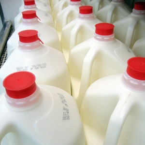 Milk in milk jugs