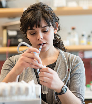 A person working in the laboratory
