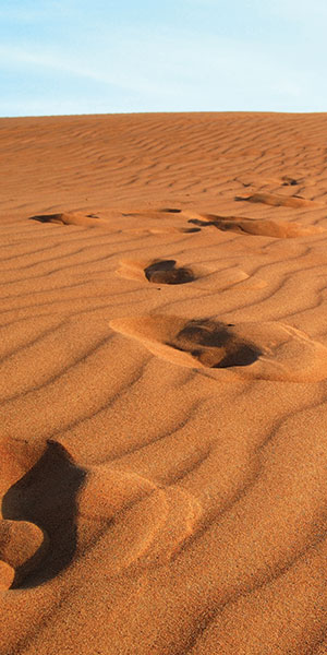 Footprints in the desert