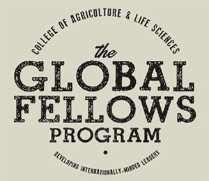 CALS Global Fellows Program Graphic