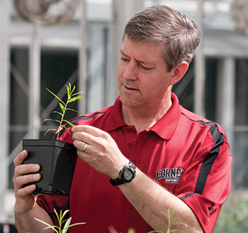 A man in a red shirt holds a plant in a pot