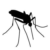 A graphic of a mosquito