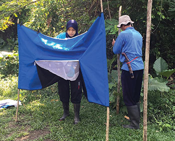 Two people set up fly traps outdoors