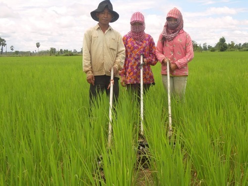 Three people stand together holding farming equipment in a field