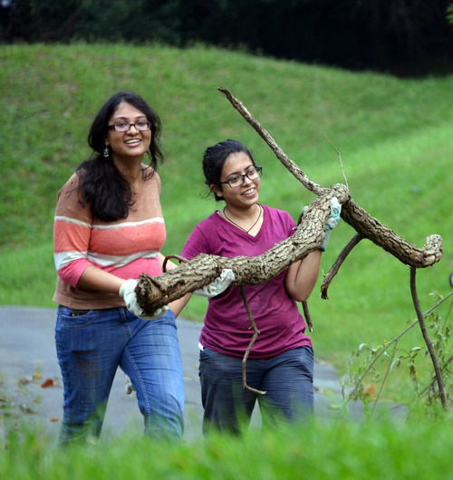 Two women carry a tree branch through a field