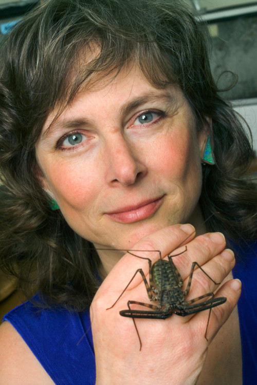 A woman holds a whip scorpion on her hand