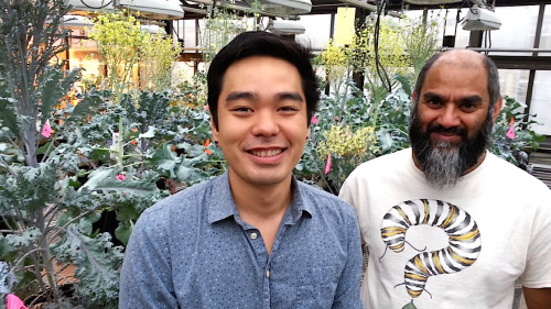 Two men stand in front of plants