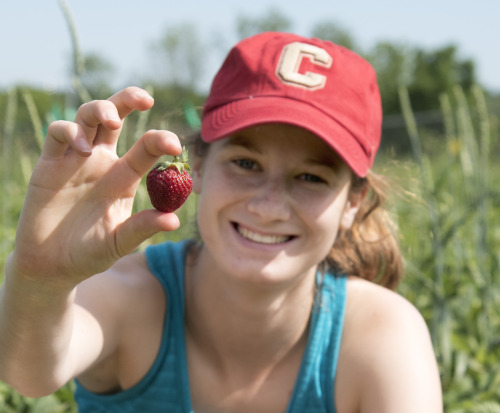 A girl holds a strawberry