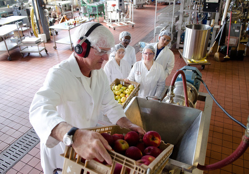 A group of people working in an apple processing plant