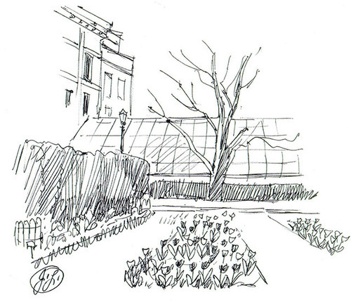 A hand-drawn scene of a tree and a garden with a house in the background