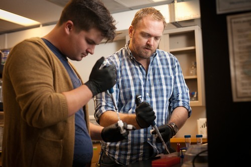 Two men work in the laboratory