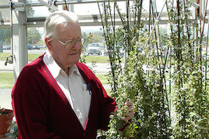 A man tends to alfalfa