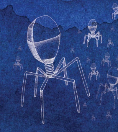 Viruses illustration