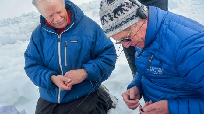 Two scientists collaborate on outdoor research in Alaska
