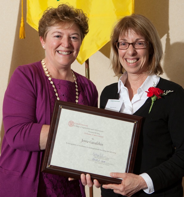 Jerrie Gavalchin stands with Kathryn J. Boor at an awards ceremony