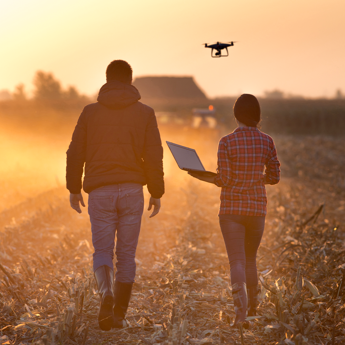 Two people walk through a field at dusk, one person holding a laptop, and a drone is flying overhead.