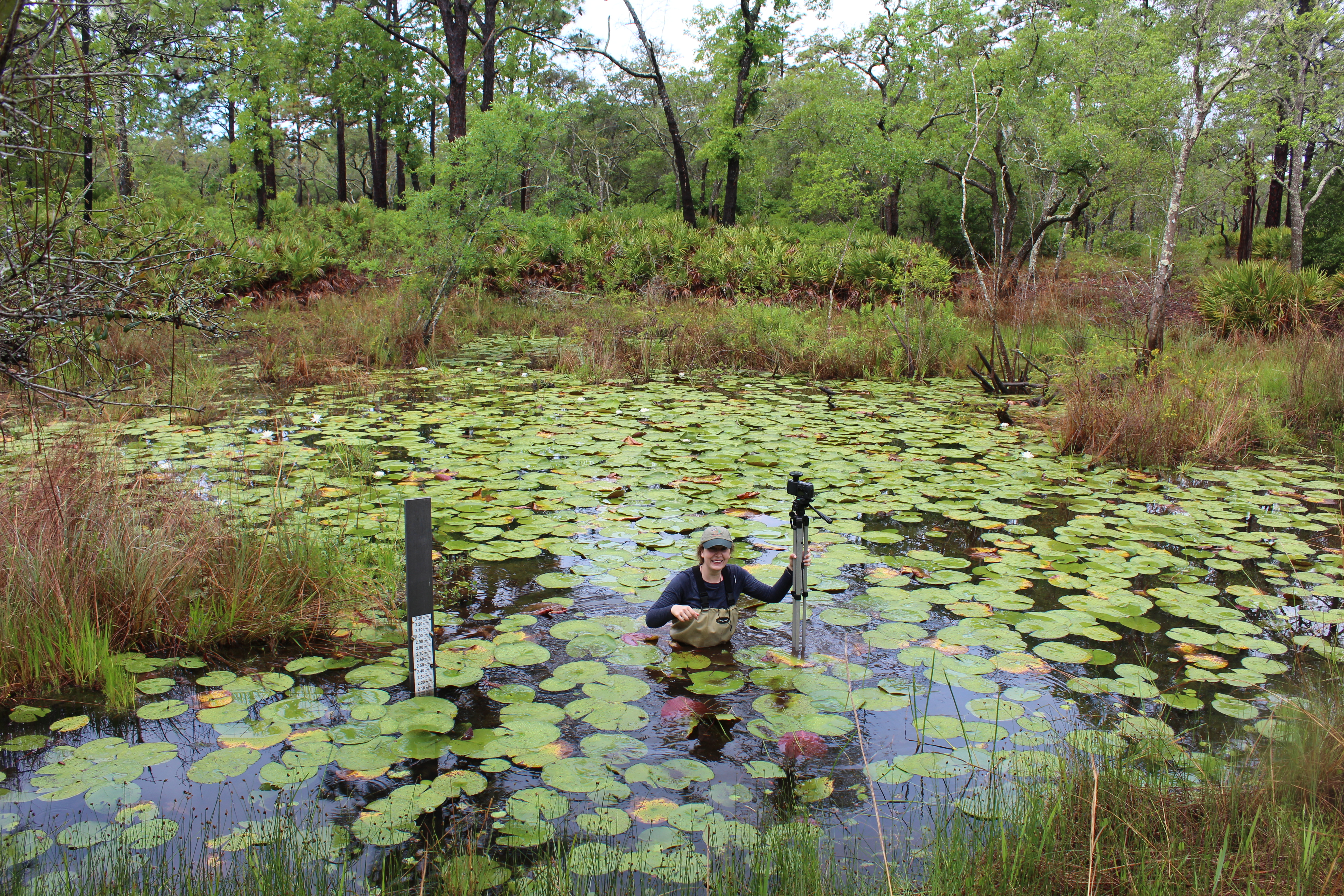 Courtney Davis in pond