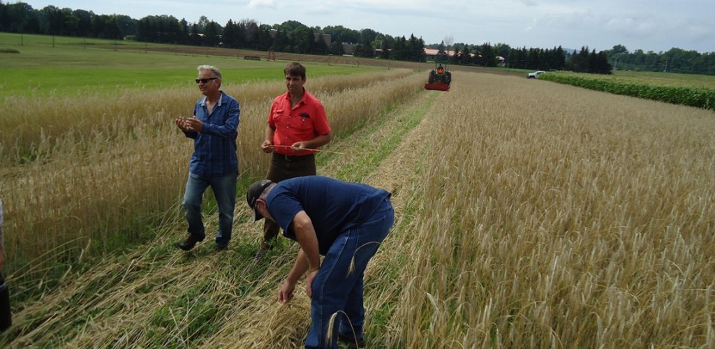 Jean-Paul Courtens in crop field