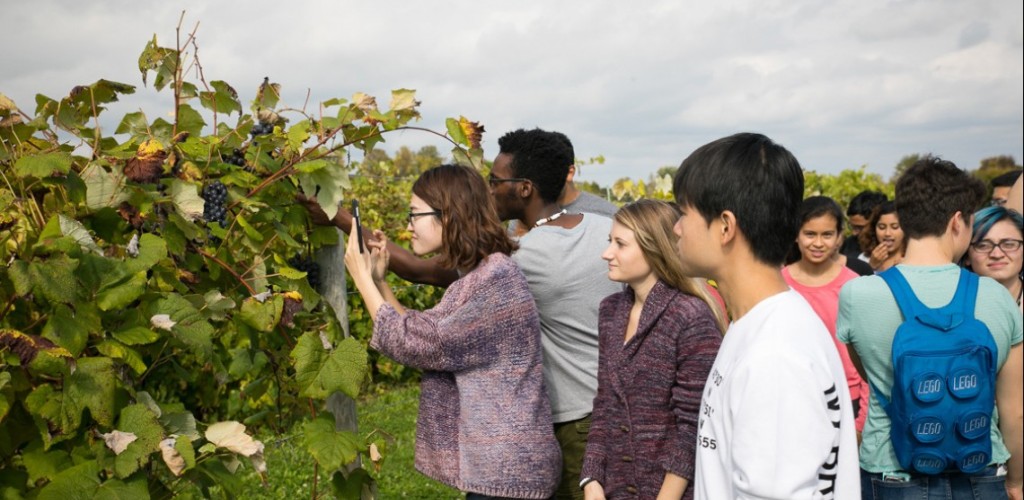 students in a field
