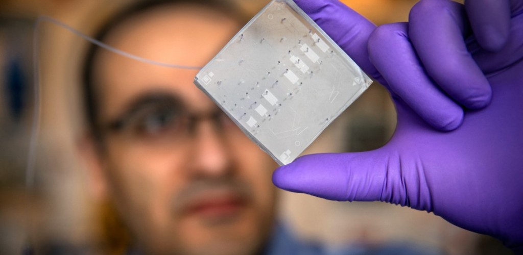A researcher holds up a microchip