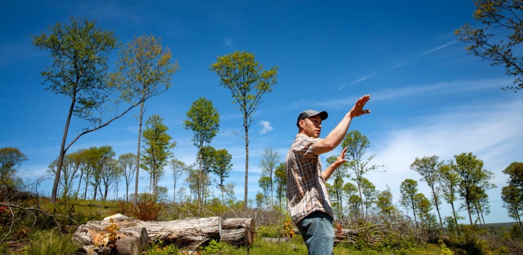 Aaron Wightman touring an area of Arnot Forest