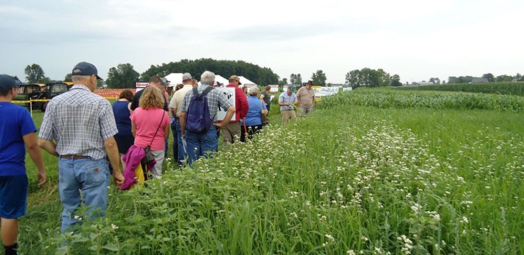 a group of visitors takes a tour of the cover crop trials planting