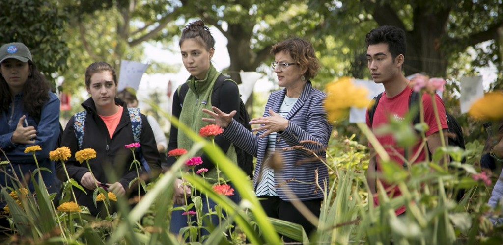 students in Minns Garden with guide