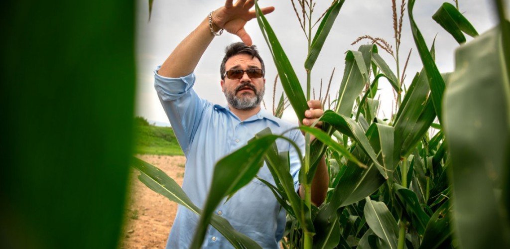 Mike Gore with corn stalks