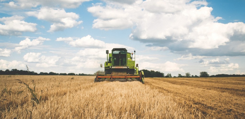 Tractor mowing hay