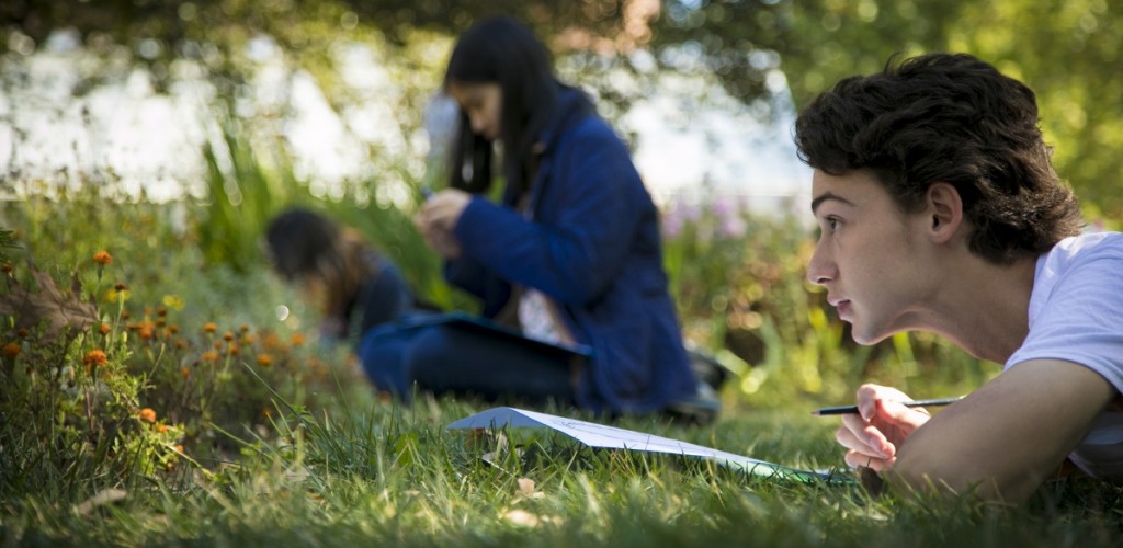 Students studying plants outdoors