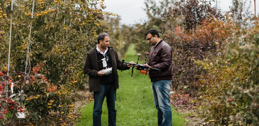 2 men in crop filed with drone