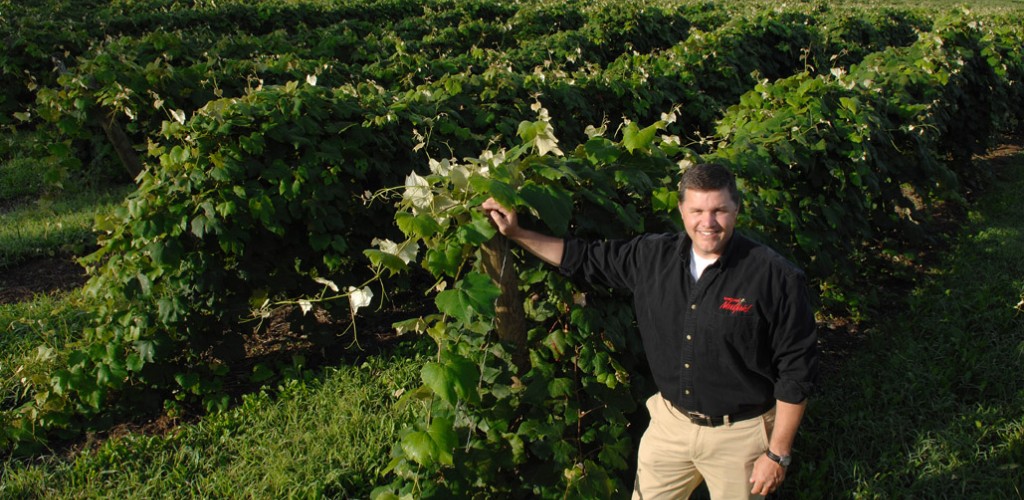 Terry Bates standing in vineyard