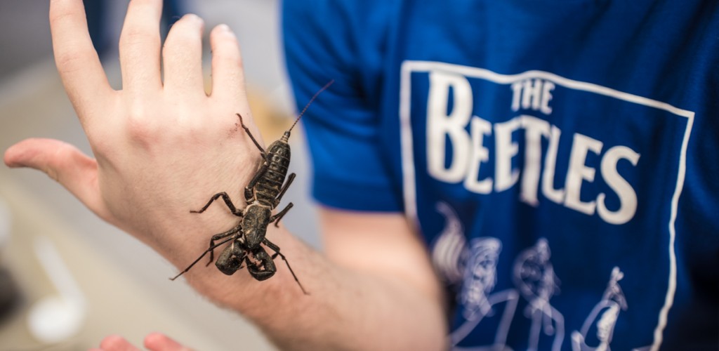 Student holding a scorpion