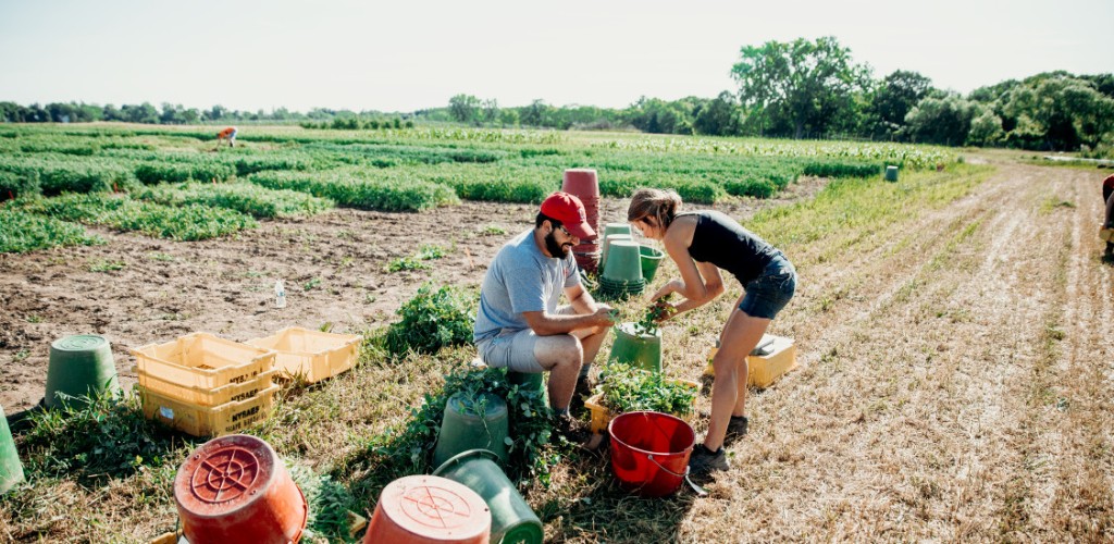 student handing crops to teacher