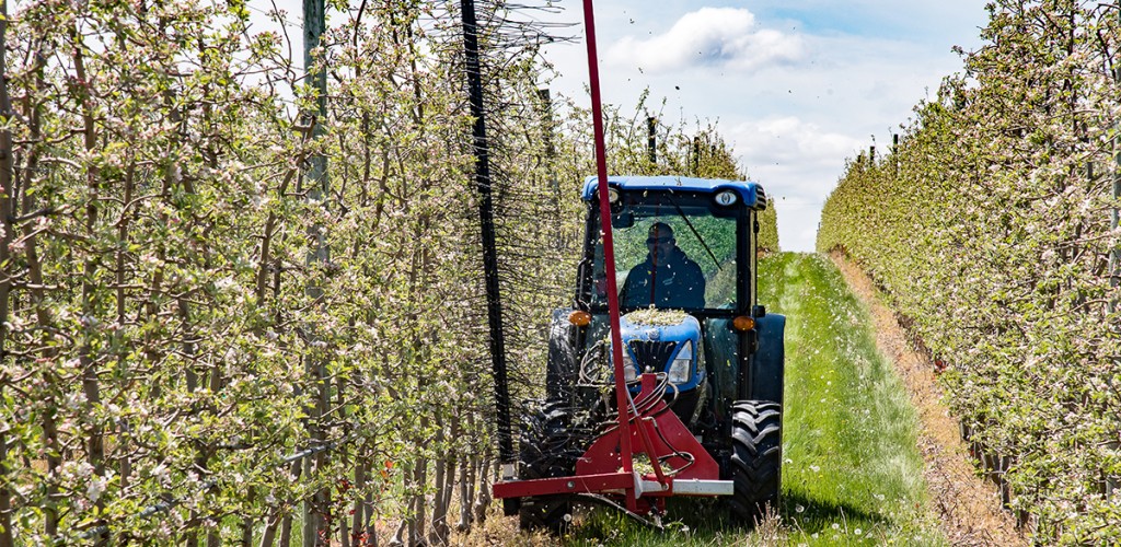 man operating tractor-mounted Darwin string thinning machine