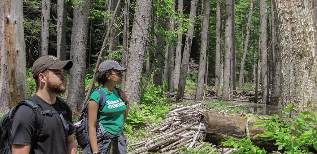 Students explore woods