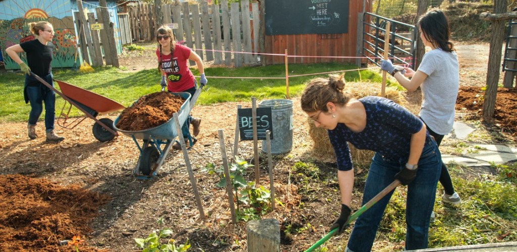 Students working in a garden